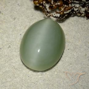 Occhio di gatto actinolite Verde terroso naturale da 6.14 ct, Ovale, Traslucido