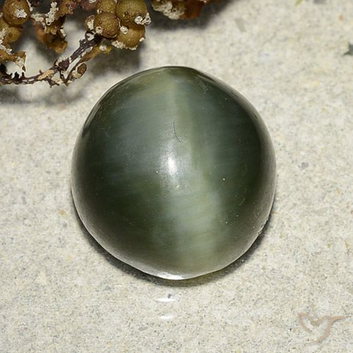 7.39ct Naturale Verde terroso Occhio di gatto actinolite, Rotondo, Traslucido