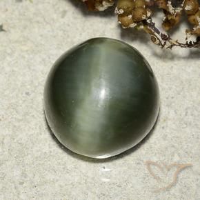 Occhio di gatto actinolite Verde terroso naturale da 7.39 ct, Rotondo, Traslucido