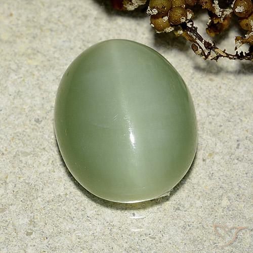 Occhio di gatto actinolite Verde chiaro naturale da 6.24 ct, Ovale, Traslucido