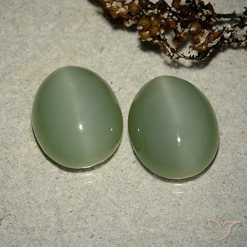 Gemme di Occhio di gatto actinolite Medium Light-Green naturale da 12.17 ct, Taglio ovale, Traslucido