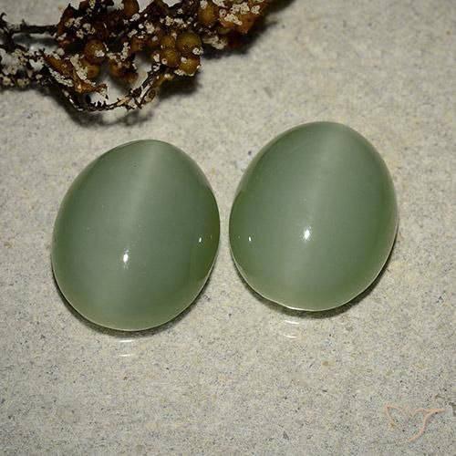 Gemme di Occhio di gatto actinolite Medium Light-Green naturale da 12.17 ct, Taglio ovale, Traslucido