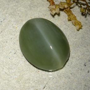 Occhio di gatto actinolite Verde naturale da 7.61 ct, Taglio ovale, Traslucido