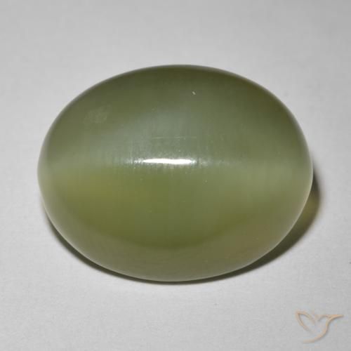 Occhio di gatto actinolite Verde scuro naturale da 8.12 ct, Ovale, Traslucido