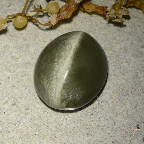 4.60ct Naturale Verde marroncino Occhio di gatto actinolite, Ovale, Opaco