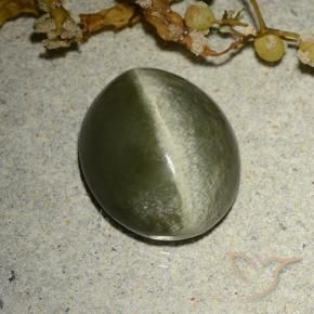 Occhio di gatto actinolite Verde marroncino naturale da 4.60 ct, Ovale, Opaco