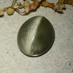 Occhio di gatto actinolite Verde marroncino naturale da 4.60 ct, Ovale, Opaco