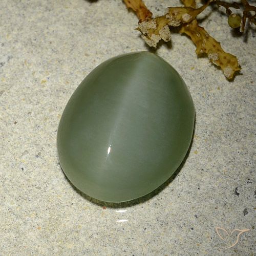 6.77ct Naturale Verde medio-chiaro Occhio di gatto actinolite, Ovale, Traslucido