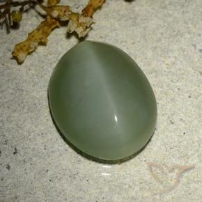Occhio di gatto actinolite Verde medio-chiaro naturale da 6.77 ct, Ovale, Traslucido