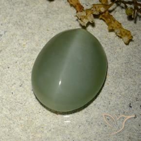 Occhio di gatto actinolite Verde medio-chiaro naturale da 6.77 ct, Ovale, Traslucido