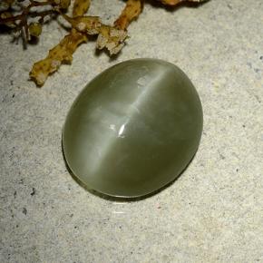 Occhio di gatto actinolite Verde caldo naturale da 7.84 ct, Taglio ovale, Traslucido