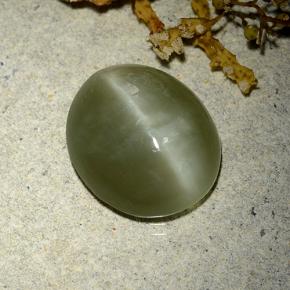 Occhio di gatto actinolite Verde caldo naturale da 7.84 ct, Taglio ovale, Traslucido