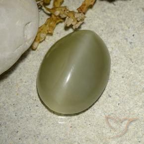 Occhio di gatto actinolite Verde giallastro naturale da 5.88 ct, Ovale, Traslucido