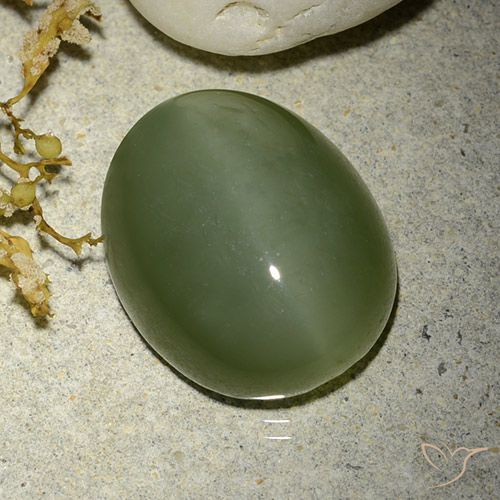 12.38ct Naturale Army Green Occhio di gatto actinolite, Ovale, Traslucido