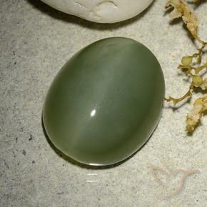 Occhio di gatto actinolite Army Green naturale da 12.38 ct, Ovale, Traslucido