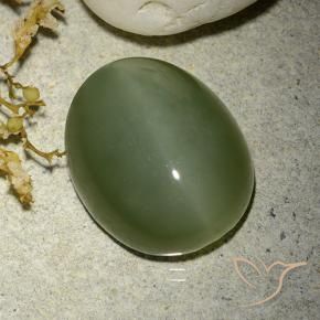 Occhio di gatto actinolite Army Green naturale da 12.38 ct, Ovale, Traslucido