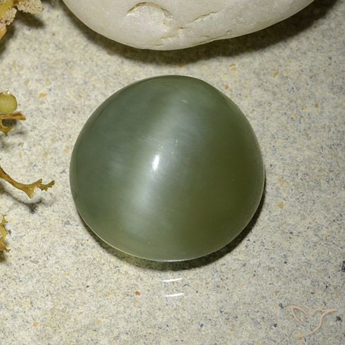 5.56ct Naturale Verde caldo Occhio di gatto actinolite, Rotondo, Traslucido