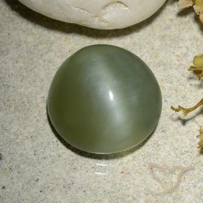 Occhio di gatto actinolite Verde caldo naturale da 5.56 ct, Rotondo, Traslucido