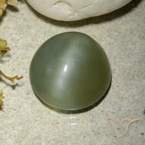 Occhio di gatto actinolite Verde caldo naturale da 5.56 ct, Rotondo, Traslucido