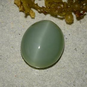 Occhio di gatto actinolite naturale verde da 6,19 ct, taglio ovale, traslucido