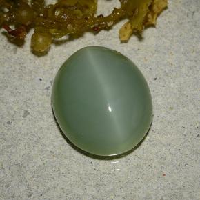 Occhio di gatto actinolite naturale verde da 6,19 ct, taglio ovale, traslucido