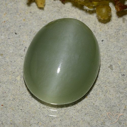 6.83ct Naturale Verde caldo Occhio di gatto actinolite, Ovale, Traslucido