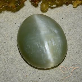 Occhio di gatto actinolite Verde medio naturale da 8.60 ct, Ovale, Traslucido