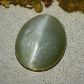 Occhio di gatto actinolite Verde medio naturale da 8.60 ct, Ovale, Traslucido