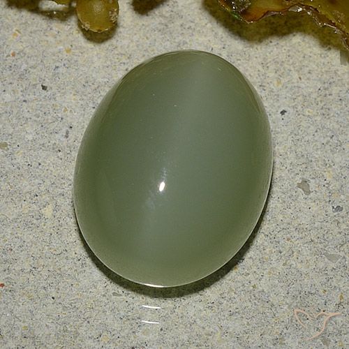 6.92ct Naturale Army Green Occhio di gatto actinolite, Ovale, Traslucido