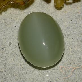 Occhio di gatto actinolite Army Green naturale da 6.92 ct, Ovale, Traslucido
