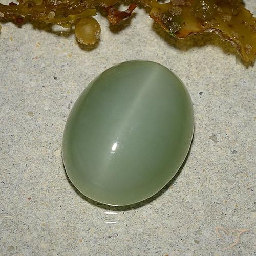6.46ct Naturale Verde terroso Occhio di gatto actinolite, Ovale, Traslucido