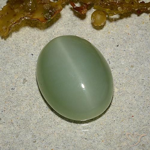 Occhio di gatto actinolite Verde terroso naturale da 6.46 ct, Ovale, Traslucido