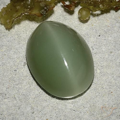 Actinolite cat's eye naturale verde da 8,04 ct, taglio ovale, traslucido