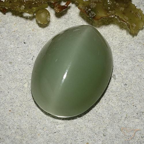 Actinolite cat's eye naturale verde da 8,04 ct, taglio ovale, traslucido