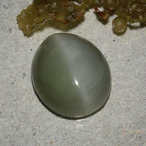 6.78ct Naturale Verde medio Occhio di gatto actinolite, Ovale, Traslucido