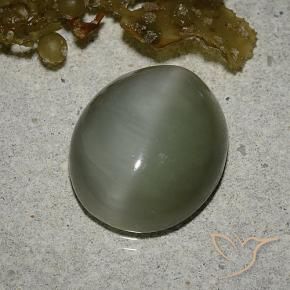 Occhio di gatto actinolite Verde medio naturale da 6.78 ct, Ovale, Traslucido