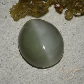 Occhio di gatto actinolite Verde medio naturale da 6.78 ct, Ovale, Traslucido