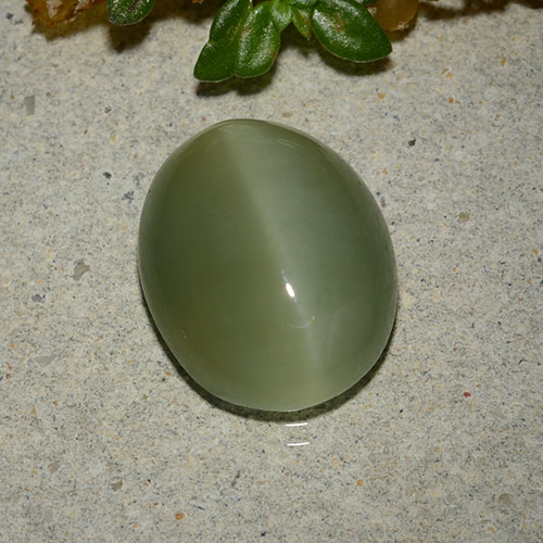 Actinolite cat's eye naturale verde da 5,33 ct, taglio ovale, traslucido