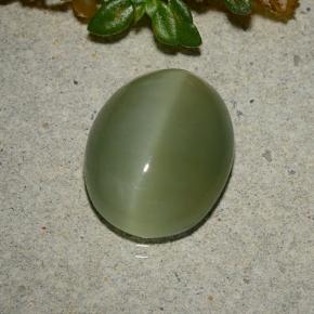 Actinolite cat's eye naturale verde da 5,33 ct, taglio ovale, traslucido