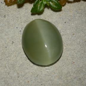 Actinolite cat's eye naturale verde da 5,33 ct, taglio ovale, traslucido