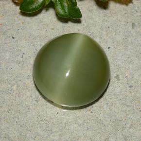 Occhio di gatto actinolite Verde giallastro naturale da 3.87 ct, Taglio rotondo, Traslucido