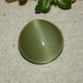 Occhio di gatto actinolite Verde giallastro naturale da 3.87 ct, Taglio rotondo, Traslucido