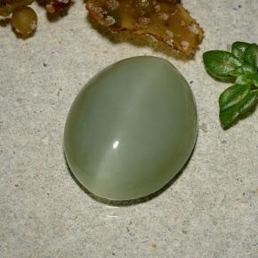 Occhio di gatto actinolite Verde caldo naturale da 5.92 ct, Taglio ovale, Traslucido