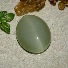 Occhio di gatto actinolite Verde caldo naturale da 5.92 ct, Taglio ovale, Traslucido