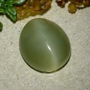 Actinolite cat's eye naturale verde da 9,08 ct, taglio ovale, traslucido