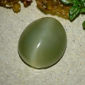 Actinolite cat's eye naturale verde da 9,08 ct, taglio ovale, traslucido