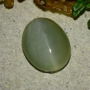Actinolite cat's eye naturale verde da 4,86 ct, taglio ovale, traslucido