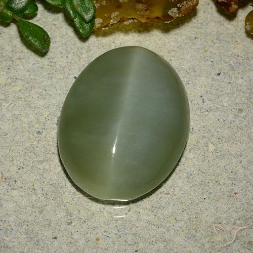 6.48ct Naturale Verde medio Occhio di gatto actinolite, Ovale, Traslucido