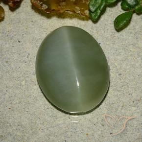 Occhio di gatto actinolite Verde medio naturale da 6.48 ct, Ovale, Traslucido