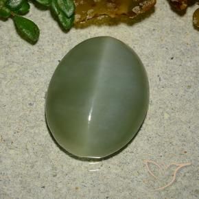 Occhio di gatto actinolite Verde medio naturale da 6.48 ct, Ovale, Traslucido